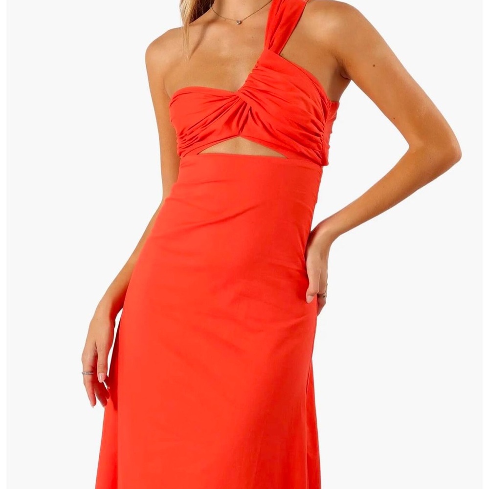 Petal and Pup maxi dress